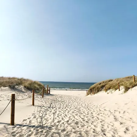 Bursztynek I Muszelka