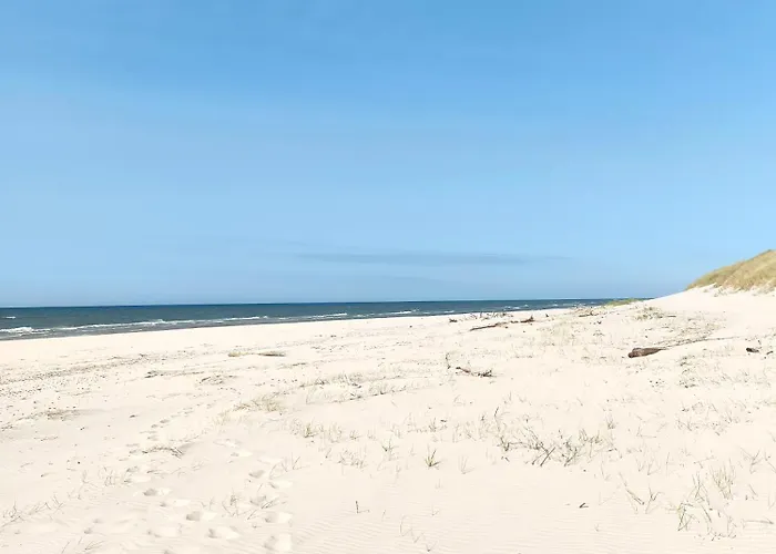 Bursztynek I Muszelka * Smołdzino