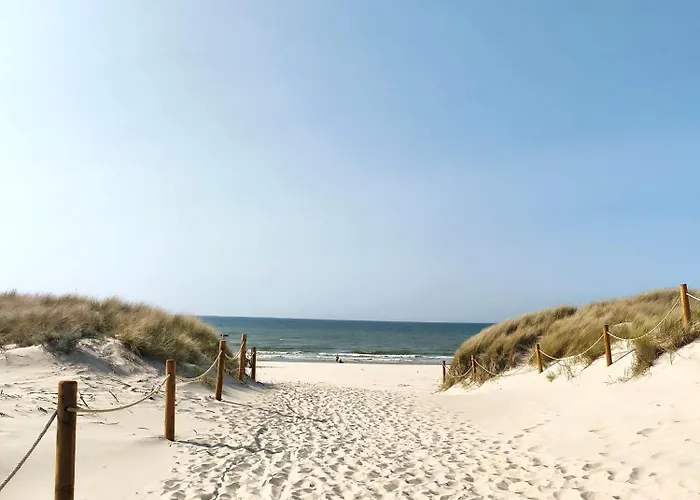 Bursztynek I Muszelka