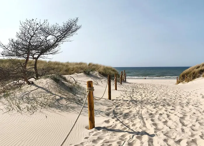 Bursztynek I Muszelka * Smołdzino